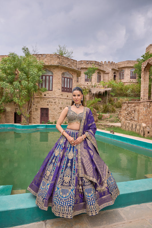 Mira violet banarasi zari lehenga set, full length