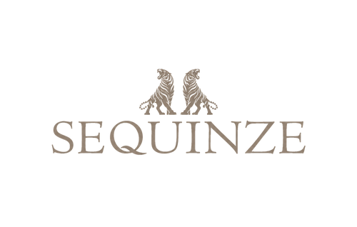 Sequinze India